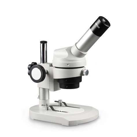 Image result for Compound vs Dissecting Microscope