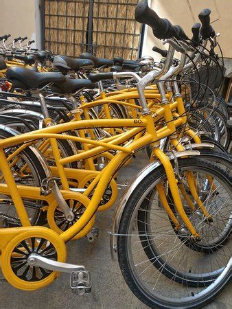 Yellow Zebra Segways & Bikes (Prague) - 2022 What to Know Before You Go ...