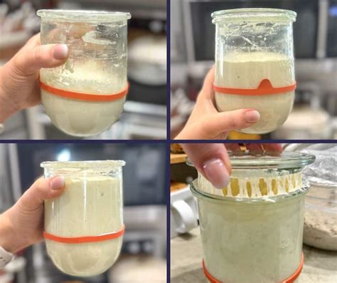 282 Best Sourdough Starter Names: Ideas & Inspiration - That Sourdough Gal