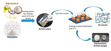 Tailoring Natural-Based Oleogels Combining Ethylcellulose and Virgin ...