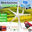 3000W Wind Turbine Generator Kit 122448V 5 Blades India | Ubuy