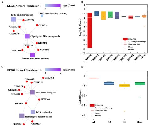 Mechanisms of BPA Degradation and Toxicity Resistance in Rhodococcus equi