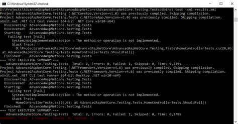 xUnit Test Cases in .Net Core Example 的图像结果