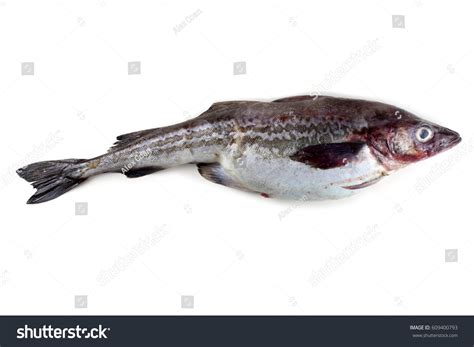 Image result for Alaskan Pollock