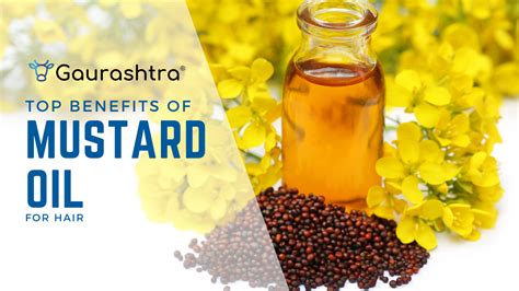 Top 8 Mustard Seed Oil Benefits for Hair – Gaurashtra.com
