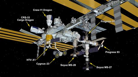 Image result for PMC Module 6 Assignment