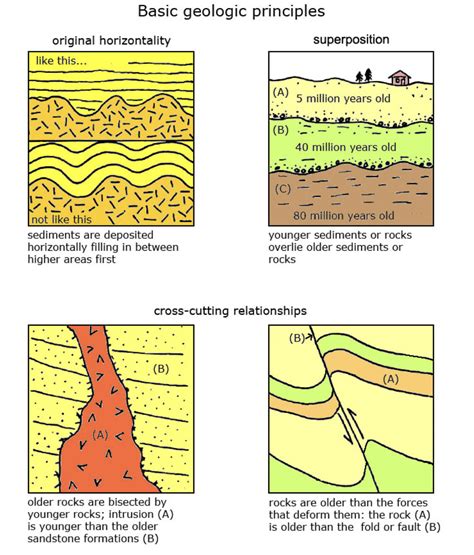 [Solved] . Basic geologic principles original horizontality ...