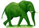 Image result for Elephant Patern