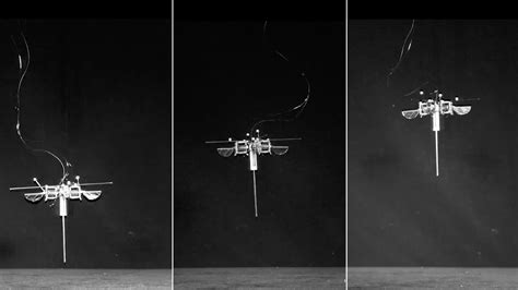 Hopping gives this tiny robot a leg up | MIT News | Massachusetts ...
