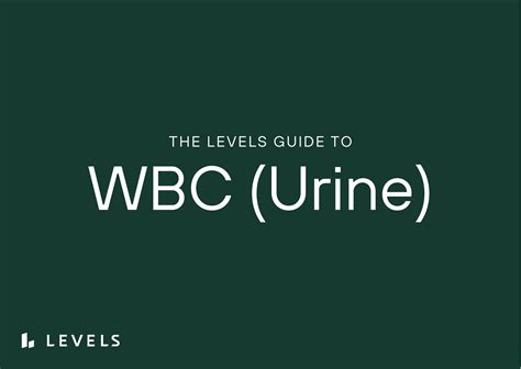 Guide to White Blood Cells (WBC) in Urine | Levels | Levels