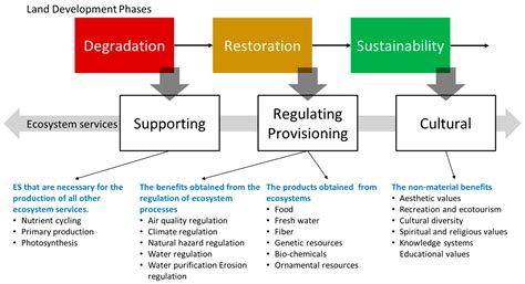 Classification of Global Land Development Phases by Forest and GDP ...
