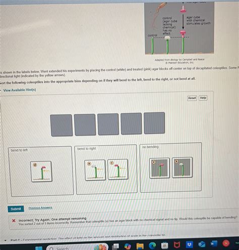 As shown in the labels below, Went extended | StudyX