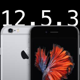 iOS 12.4.9 的图像结果