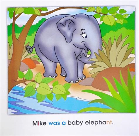 Phonics Story Time Library Mike's Flight – Books and You