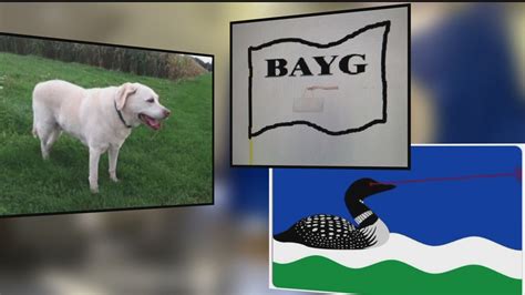 Thousands of new Minnesota flag designs revealed | abc10.com