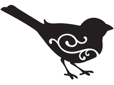 Image result for Bird Contorting