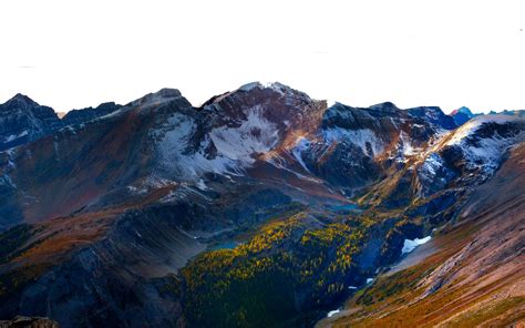 Web Transparent Background 的图像结果