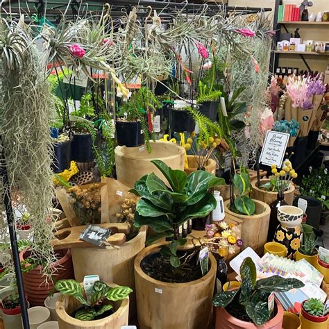 HOUSEPLANT HOARDERS - All You Need to Know BEFORE You Go 2026 (with ...