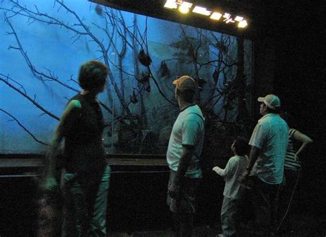 Bronx Zoo: The Largest Zoo In The USA That You Must Visit