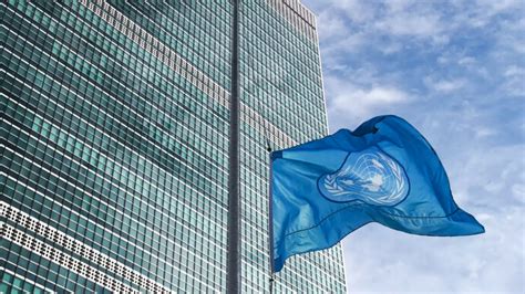 Naciones Unidas: principios consagrados y emergentes | Meer