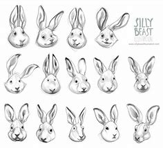 Image result for Baby Rabbit Art