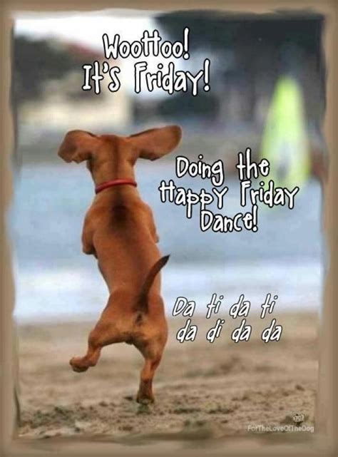 Happy Friday Funny Quotes