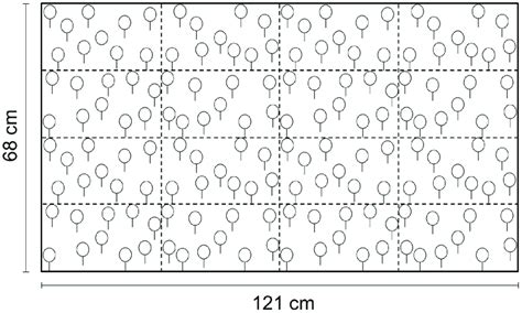 Image result for Visual Array
