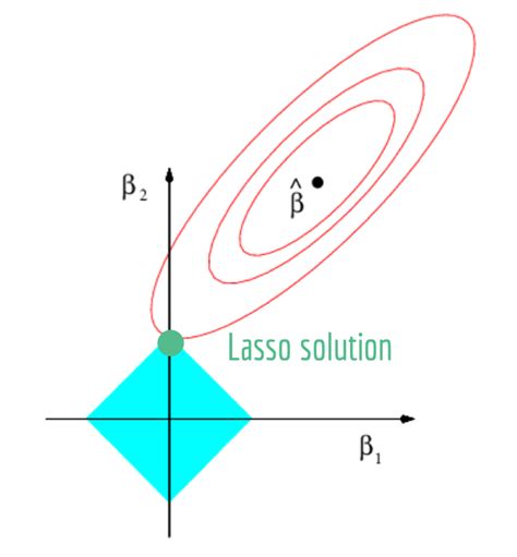 Image result for Lasso Program