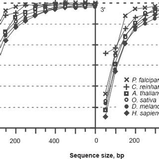 Image result for Simple Coding Frame Example
