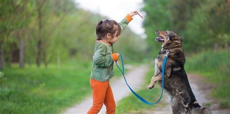 Humane Society of Boulder Valley – Creating Healthy Relationships ...