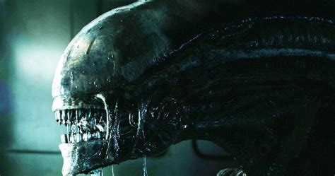 Image result for Alien 2023 Trailer UK