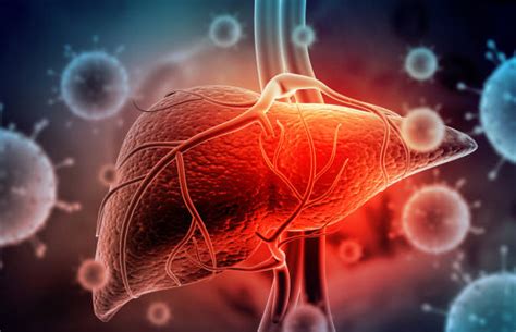 Importance of Liver Health in Our Lifestyle