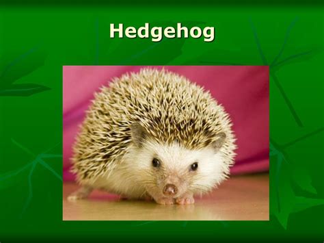 Image result for Applications of Greedy Algorithm