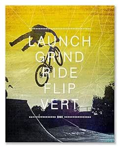 Wheatpaste Art Collective BMX Action by WP House Canvas Wall Art, 24 by ...