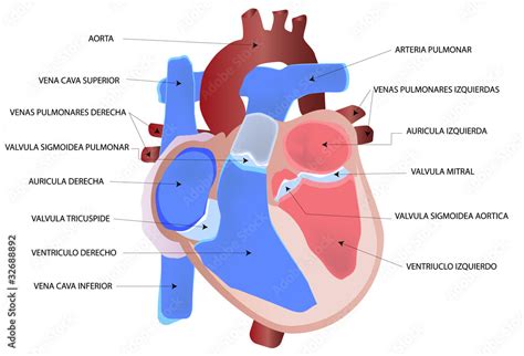 Image result for Module Unit