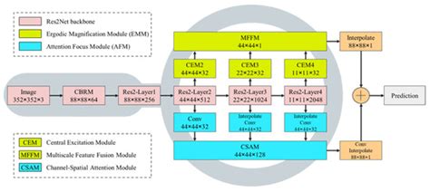MAGNet: A Camouflaged Object Detection Network Simulating the ...