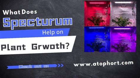 Image result for LED Grow Light Spectrum