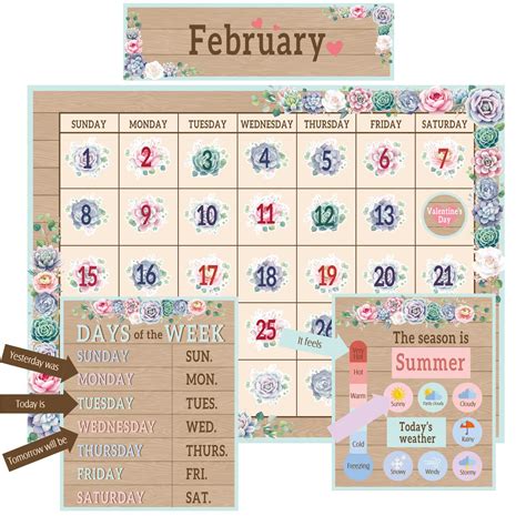 Buy Succulents Bulletin Board Set Simply CTP Bulletin Board Seasons ...