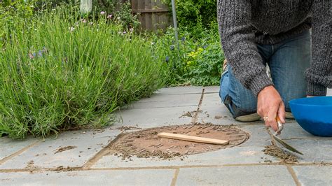 Patio Pointing Tutorial 的图像结果