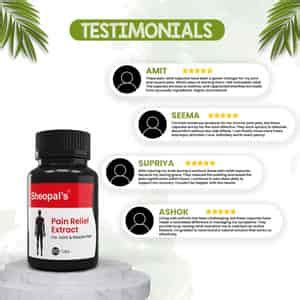 Buy SHEOPALS PAIN RELIEF CAPSULES FOR JOINTS & BODY MUSCULAR PAIN, BACK ...