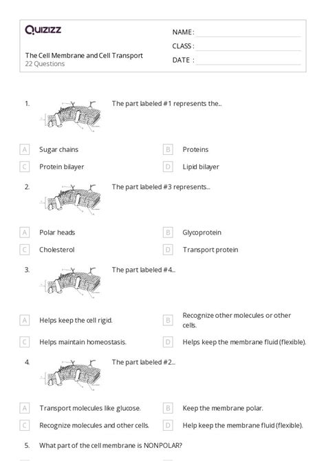 50+ the cell membrane worksheets on Quizizz | Free & Printable