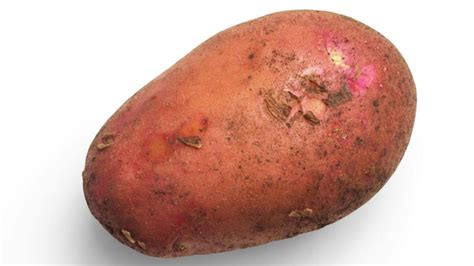 What are Mormon funeral potatoes and why are they so popular?