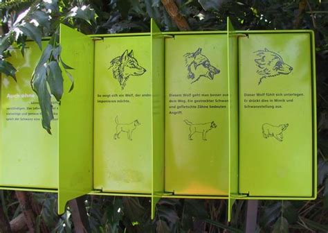 ZooLex Image - Wolf Communication