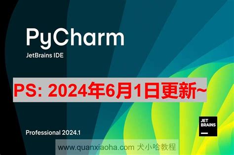 PyCharm Tutorial 2024 的图像结果