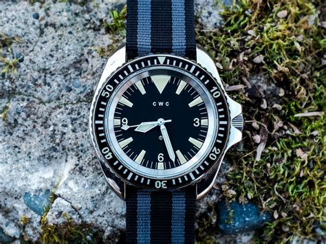 Image result for CWC Diver