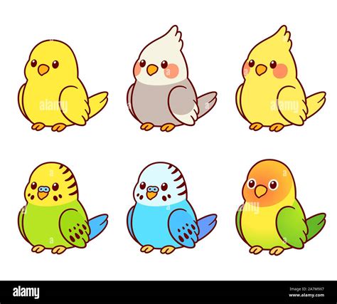 Cute cartoon pet birds illustration set. Cockatiel, parakeet, canary, lovebird. Small parrots ...