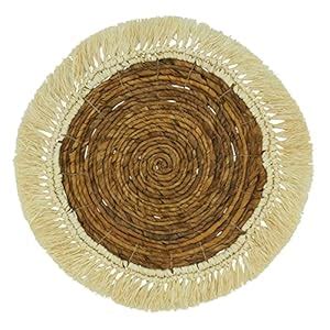 Buy Raffia Abaca Table Placemats (Set of 4) Online at Low Prices in ...