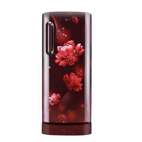 Buy LG 224 litres 5 Star Single Door Refrigerator, Scarlet Charm GL ...