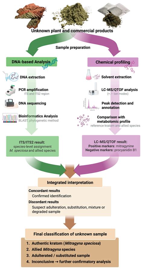 DNA Barcoding and Chemical Profile Using UHPLC, GC-MS and LC-MS/QTOF of ...
