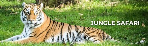 Luxury India Tour Packages | India Inbound | Travel Zone